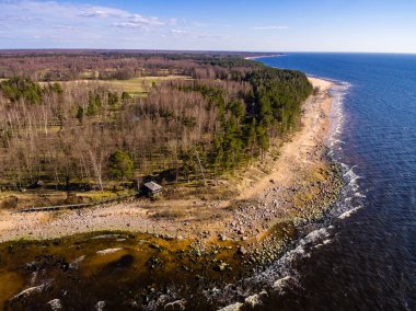 drone görüntü. kırsal alan kayalık plaj Baltık Denizi ile hava görünümünü. sakin gün uzak ufuk