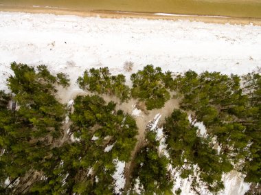 drone görüntü. alanları ve bulutlu kış günü ormanlarda kırsal alan hava görünümünü. Letonya