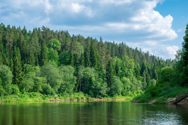 sakin Nehri ile parlak yeşil yeşillik suda ağaçlarda Cesis, Letonya yakınındaki ormanda yansımalar yaz aylarında. Nehir Gauja kumtaşı kayalıklarla ile akşam güneşte