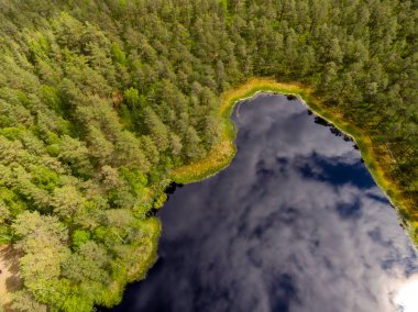 drone görüntü. alanları ve ormanları ve bulutlu bahar günü nehir su yansımalar kırsal alan hava görünümünü. Letonya
