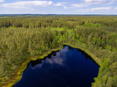drone görüntü. alanları ve ormanları ve bulutlu bahar günü nehir su yansımalar kırsal alan hava görünümünü. Letonya