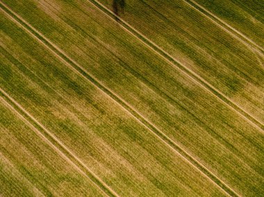 drone görüntü. alanları ve ormanları ve bulutlu bahar günü nehir su yansımalar kırsal alan hava görünümünü. Letonya