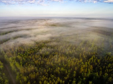 drone görüntü. alanları ve ormanları ve bulutlu bahar günü nehir su yansımalar kırsal alan hava görünümünü. Letonya