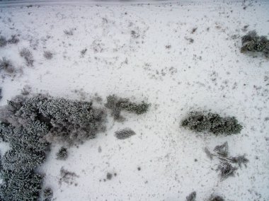 drone görüntü. kırsal alan alanları ve ormanları karlı kış hava görünümünü. kar dokular