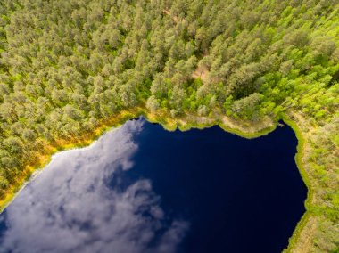 drone görüntü. alanları ve ormanları ve bulutlu bahar günü nehir su yansımalar kırsal alan hava görünümünü. Letonya
