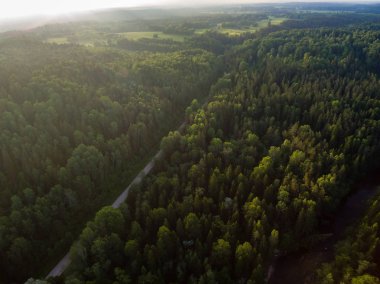 drone görüntü. alanları ve ormanları ve bulutlu bahar günü nehir su yansımalar kırsal alan hava görünümünü. Letonya