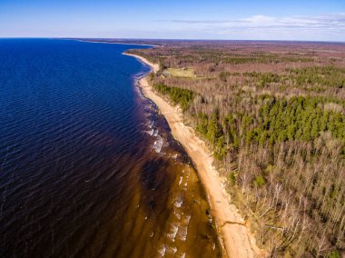 drone görüntü. kırsal alan kayalık plaj Baltık Denizi ile hava görünümünü. sakin gün uzak ufuk