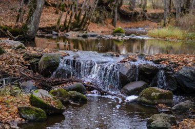 şelale nehir akışı ormanda çıplak ağaçlar ile geç sonbaharda ve gri renklerde doğada kayaların üzerinde