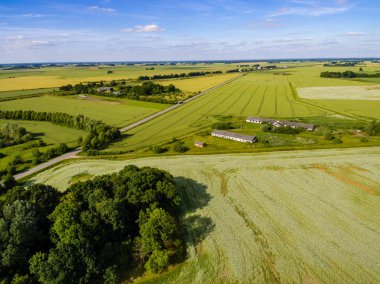 drone görüntü. alanları ve ormanları ve bulutlu bahar günü nehir su yansımalar kırsal alan hava görünümünü. Letonya