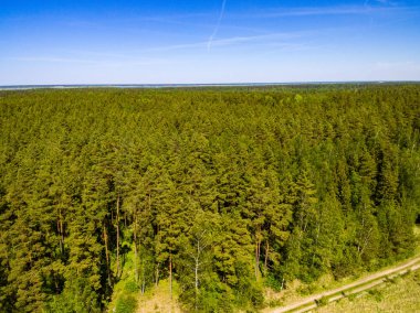 drone görüntü. alanları ve ormanları ve bulutlu bahar günü nehir su yansımalar kırsal alan hava görünümünü. Letonya