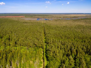 drone görüntü. alanları ve ormanları ve bulutlu bahar günü nehir su yansımalar kırsal alan hava görünümünü. Letonya