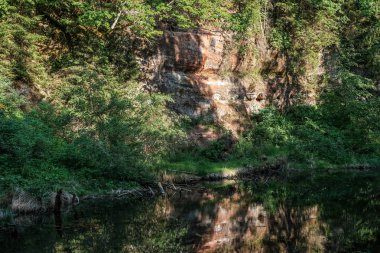 sakin Nehri ile parlak yeşil yeşillik suda ağaçlarda Cesis, Letonya yakınındaki ormanda yansımalar yaz aylarında. Nehir Gauja kumtaşı kayalıklarla ile akşam güneşte