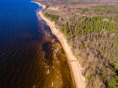 drone görüntü. kırsal alan kayalık plaj Baltık Denizi ile hava görünümünü. sakin gün uzak ufuk