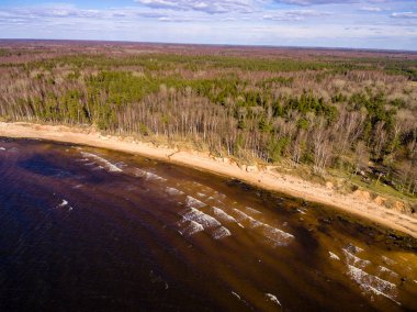 drone görüntü. kırsal alan kayalık plaj Baltık Denizi ile hava görünümünü. sakin gün uzak ufuk