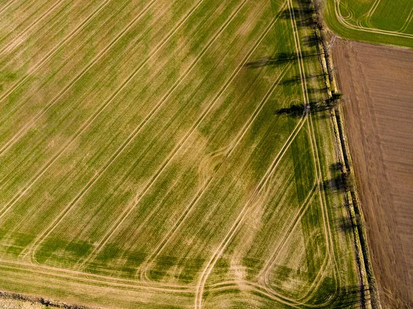 Imagen Del Dron Vista Aérea Zona Rural Con Campos Bosques —  Fotos de Stock