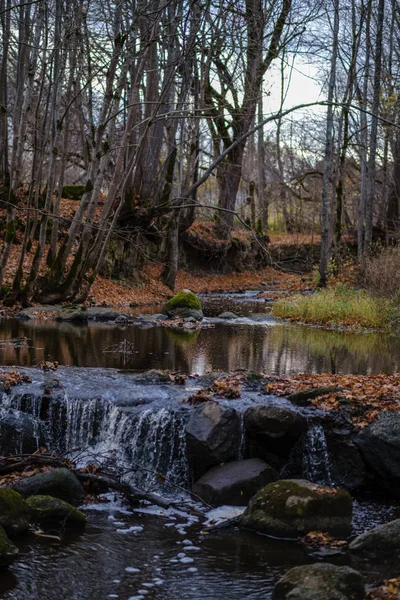 Vattenfall Över Klipporna Floden Ström Skogen Senhösten Med Nakna Träd — Stockfoto