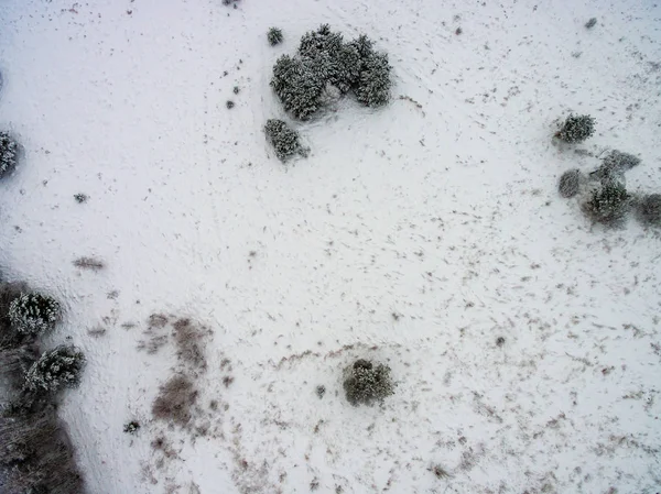 Drohnenbild Luftaufnahme Einer Ländlichen Gegend Mit Feldern Und Wäldern Verschneiten — Stockfoto