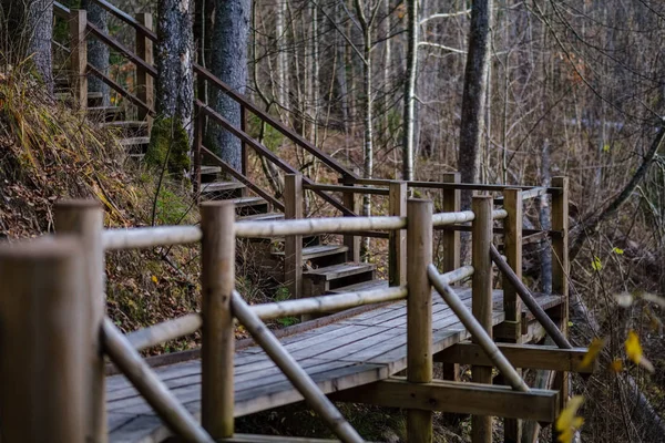 Деревянный Мост Через Воду Лесу Осенью Серого Цвета — стоковое фото