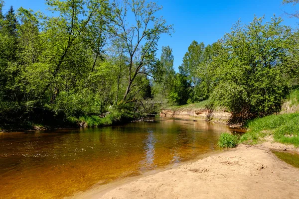 Ruhiger Fluss Mit Reflexionen Von Bäumen Wasser Leuchtend Grünem Laub — Stockfoto