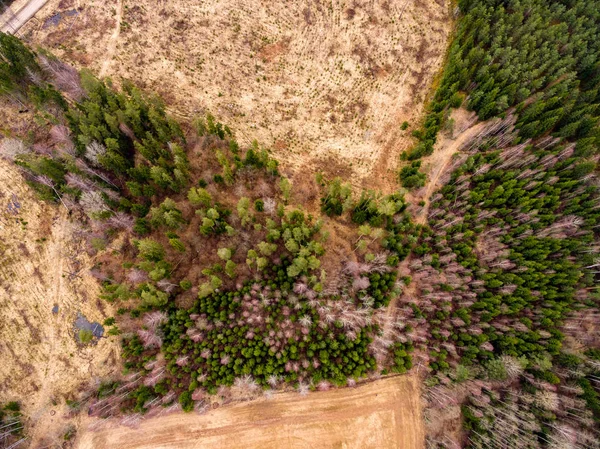 Drone Image Aerial View Rural Area Fields Forests Water Reflections — Stock Photo, Image