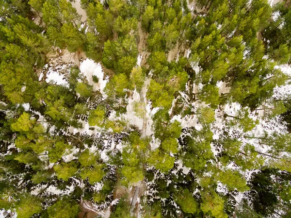 Drohnenbild Luftaufnahme Einer Ländlichen Gegend Mit Feldern Und Wäldern Verschneiten — Stockfoto