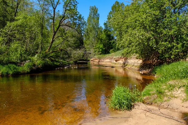 Kalme Rivier Met Reflecties Van Bomen Het Water Helder Groen — Stockfoto