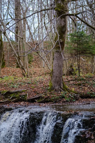 裸木と晩秋の森と自然のグレー色の川ストリームの岩の上の滝 — ストック写真