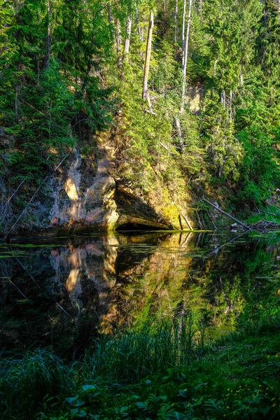Спокойная Река Отражениями Деревьев Воде Ярко Зеленой Листве Летом Лесу — стоковое фото