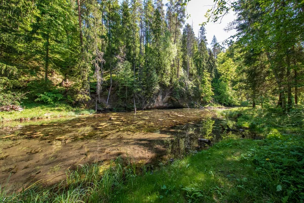 Ήρεμο Ποτάμι Αντανακλάσεις Των Δέντρων Νερό Φωτεινό Πράσινο Φύλλωμα Καλοκαίρι — Φωτογραφία Αρχείου