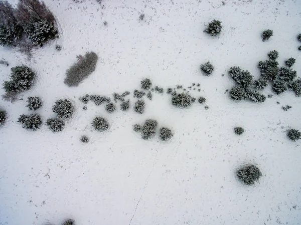 Drone Bild Flygfoto Över Landsbygden Med Fält Och Skogar Snörik — Stockfoto