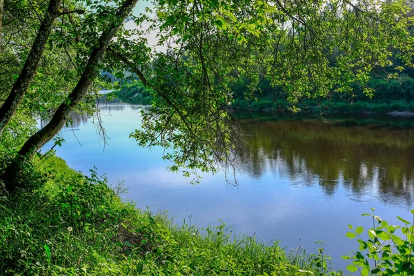 Lugn Flod Med Reflektioner Träd Vatten Ljusa Gröna Blad Sommaren — Stockfoto