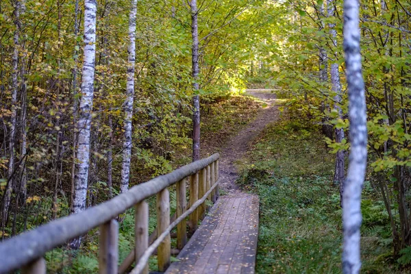 Деревянный Мост Через Воду Лесу Осенью Серого Цвета — стоковое фото