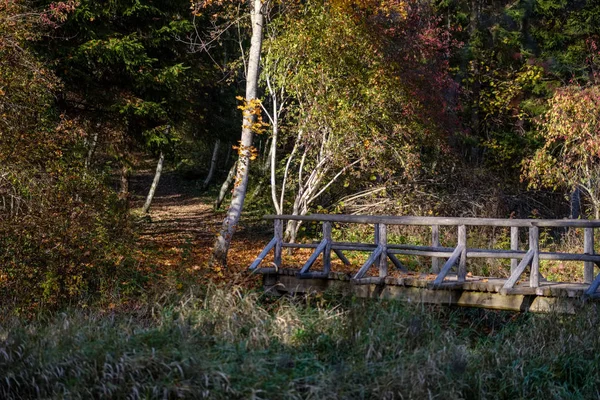 Holzplankenbrücke Über Wasser Herbst Wald Mit Grauen Farben — Stockfoto