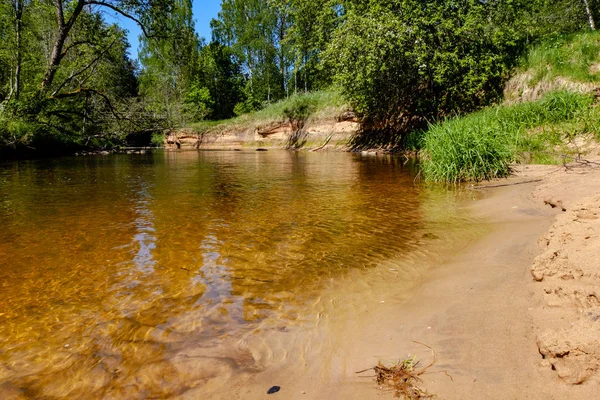 Río Tranquilo Con Reflejos Árboles Agua Follaje Verde Brillante Verano — Foto de Stock