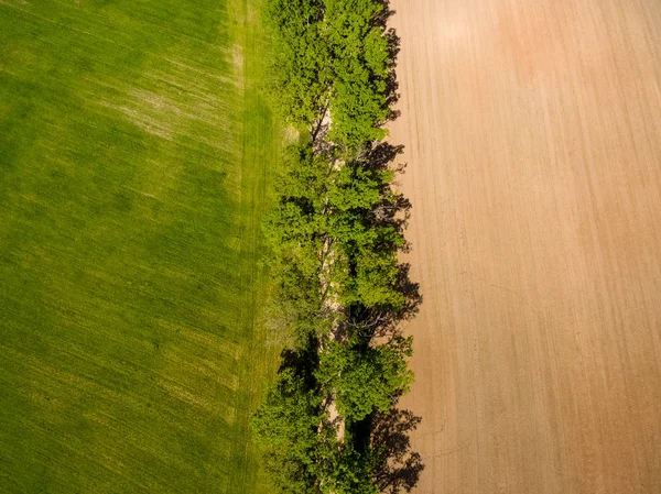 Immagine Del Drone Vista Aerea Della Zona Rurale Con Campi — Foto Stock
