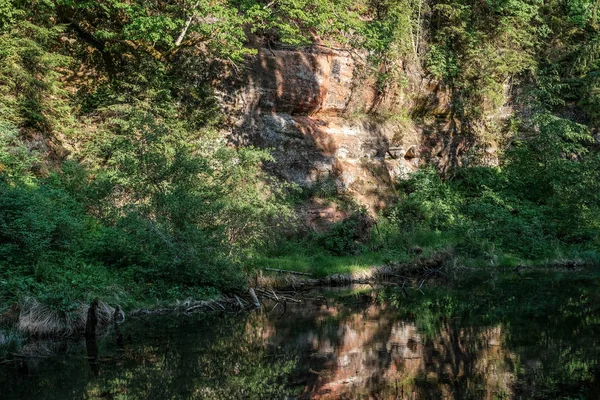 在拉脱维亚塞西斯附近的森林中 夏季在明亮的绿色树叶中 在水中的树木反射的平静河流 高亚河在晚上太阳与砂岩峭壁 — 图库照片
