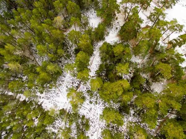 无人机图像 在多雪的冬天 可以看到有田野和森林的农村地区的鸟图 在雪中纹理 — 图库照片