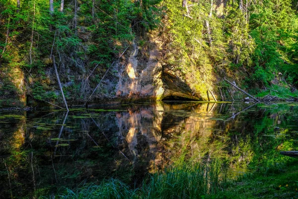 Ruhiger Fluss Mit Reflexionen Von Bäumen Wasser Leuchtend Grünem Laub — Stockfoto