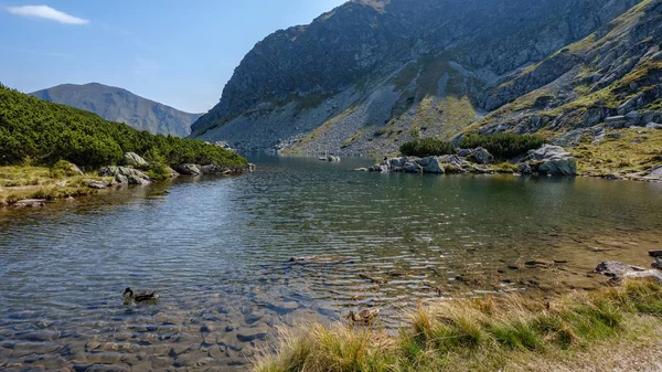 Panoramatický Pohled Horské Jezero Pozdním Létě Slovenských Karpatech Tatra Odrazy — Stock fotografie