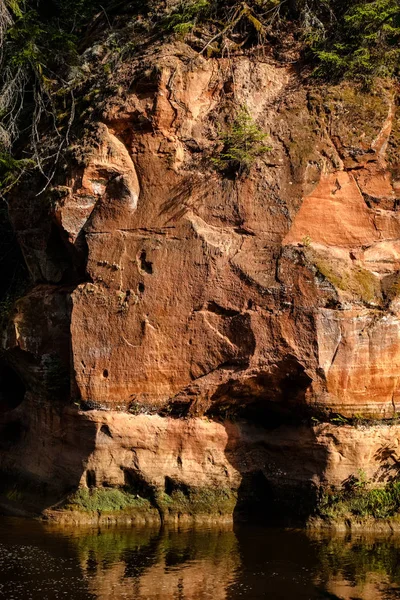 Rocky Stream River Deep Forest Summer Green Weather Sandstone Cliffs — Stock Photo, Image