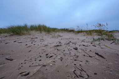 çim havalandırma kum plaj Baltık Denizi yakınındaki soğuk sonbahar akşam Kuru