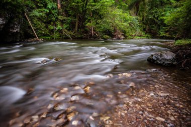 Yaz aylarında kayalık dağ nehir orman yüksek su akışı düzeyi ile uzun pozlama 