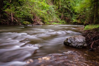 Yaz aylarında kayalık dağ nehir orman yüksek su akışı düzeyi ile uzun pozlama 