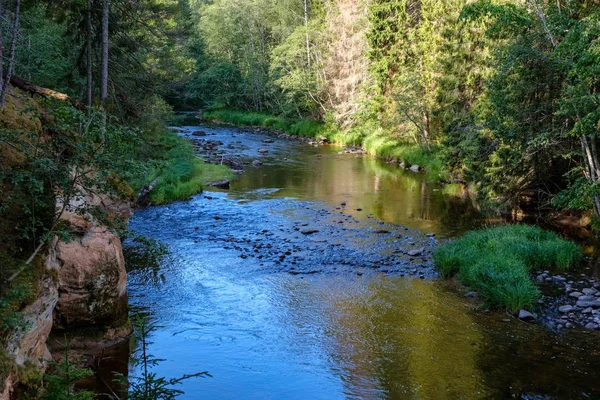 Ruisseau Rocheux Rivière Profondément Dans Forêt Par Temps Vert Été — Photo