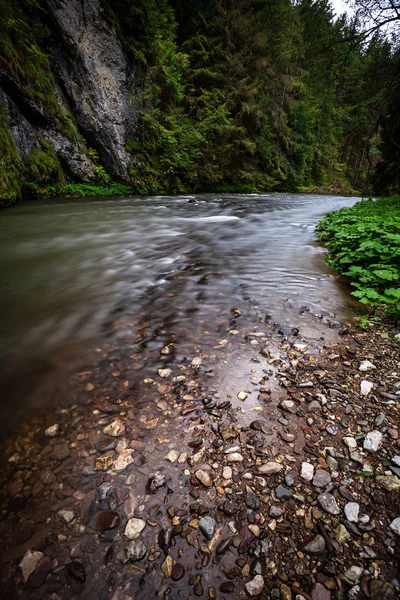 Longue Exposition Rivière Montagne Rocheuse Été Avec Niveau Eau Élevé — Photo