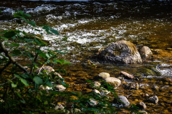 Arroyo Rocoso Río Profundo Bosque Tiempo Verde Verano Con Acantilados — Foto de Stock