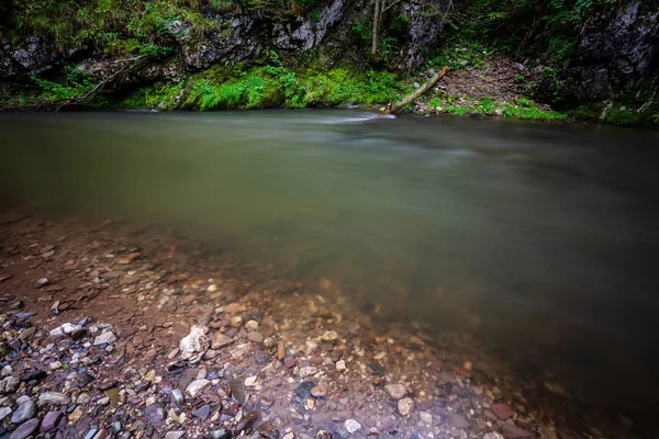 Lange Belichtung Des Felsigen Gebirgsflusses Sommer Mit Hohem Wasserstand Wald — Stockfoto