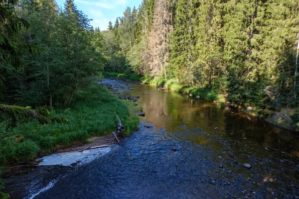 Arroyo Rocoso Río Profundo Bosque Tiempo Verde Verano Con Acantilados — Foto de Stock