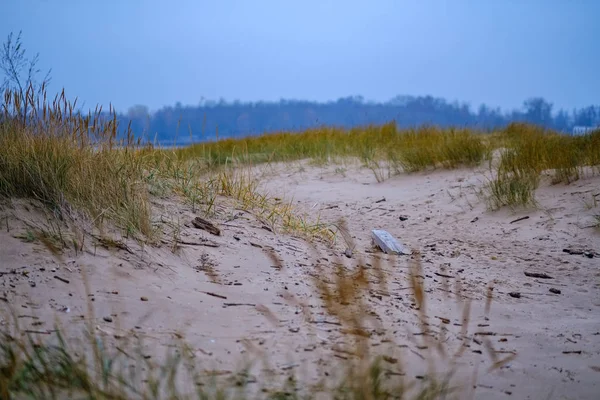 在寒冷的秋夜 在波罗的海附近的沙滩上 干草喷出了沙子 — 图库照片