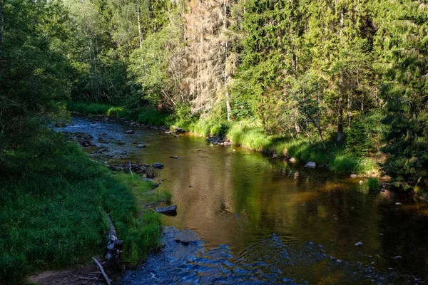 Felsiger Fluss Tief Wald Bei Sommergrünem Wetter Mit Sandsteinfelsen Und — Stockfoto